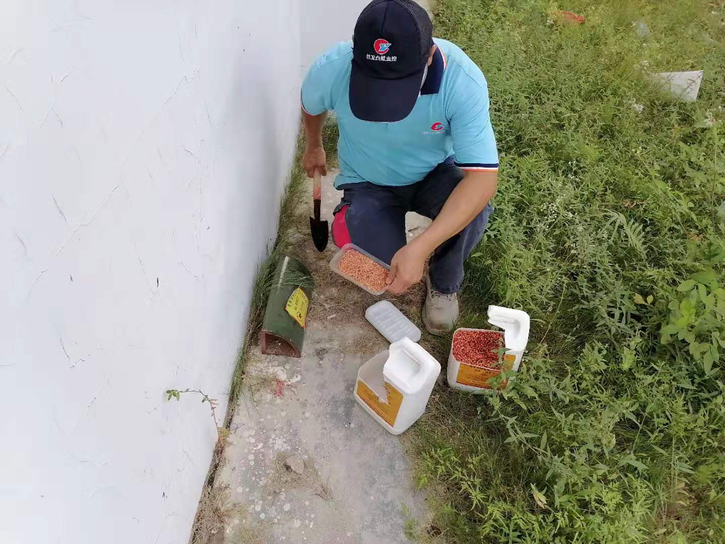 澳門專業(yè)白蟻防治公司電話