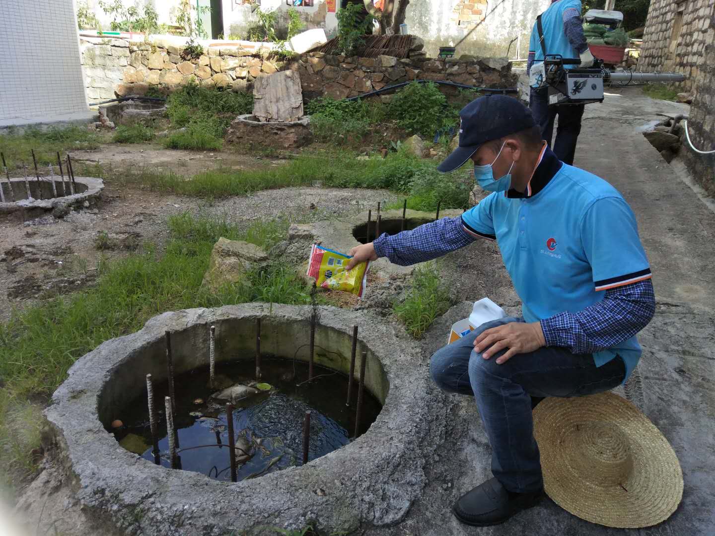 夏灣附近殺蟲滅鼠收費標準