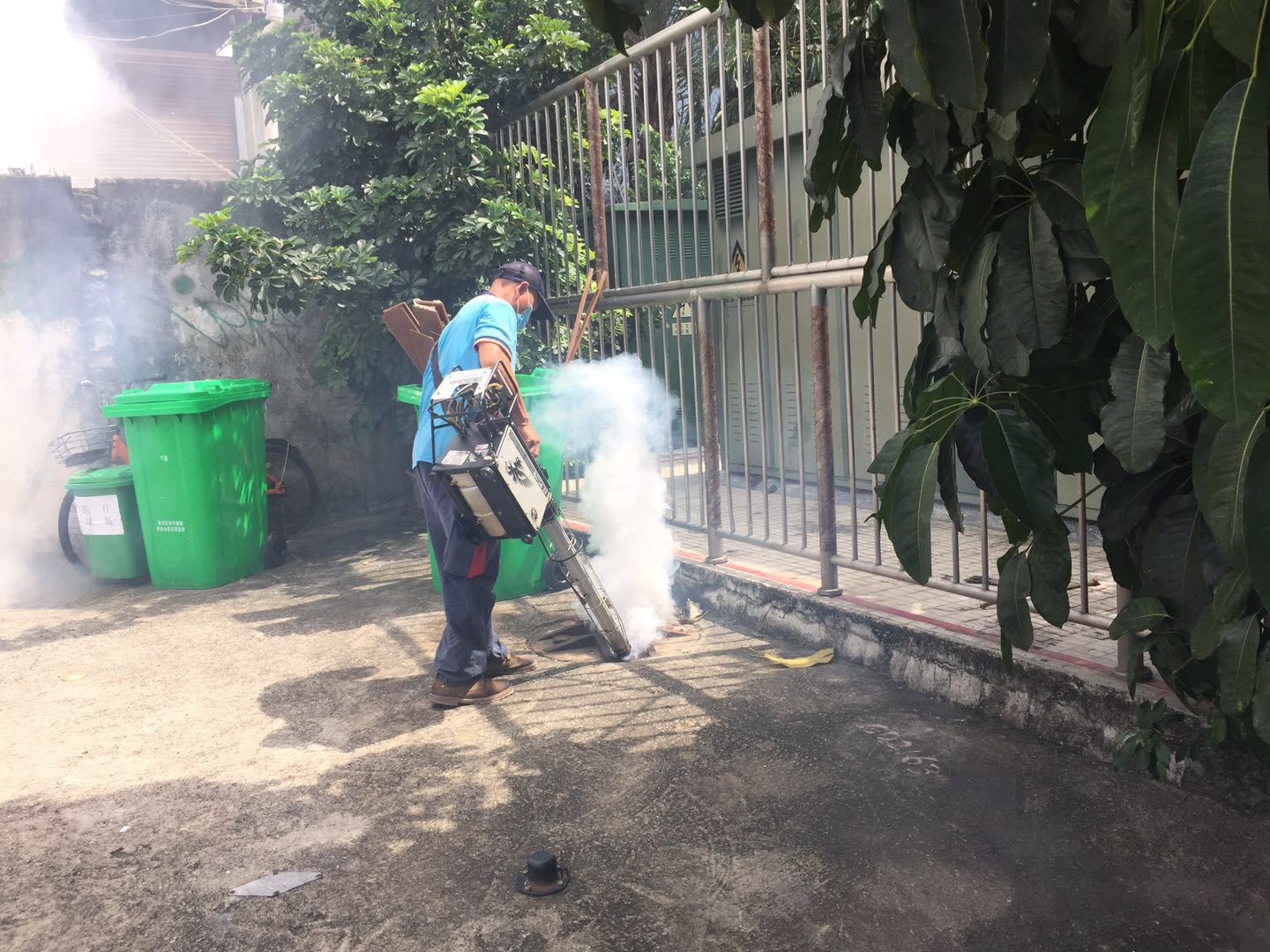 港口專業(yè)白蟻滅治價格