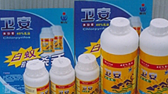 珠海白蟻防治